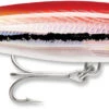 Rapala X-Rap Magnum 40 Big Game Slash Bait 2 Rapala X-Rap Magnum 40 Big Game Slash Bait -Fishing Promotion Store XRMAG HUU d60253c9 77a3 49c4 99d8 2835731a864b