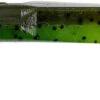 Gary Yamamoto Swim Senko 5 Inch Paddle Tail Worm 10 Pack 2 Gary Yamamoto Swim Senko 5 Inch Paddle Tail Worm 10 Pack -Fishing Promotion Store YAM 31 10 912