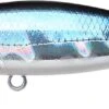 Lucky Craft Pointer 65 Suspending Jerkbait 2 Lucky Craft Pointer 65 Suspending Jerkbait -Fishing Promotion Store aurora 2Bblack c8b72fba 5607 449e 9da8 ea77fca372f2