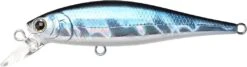 Lucky Craft Pointer 65 Suspending Jerkbait