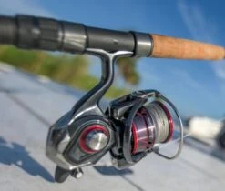 Daiwa Ballistic LT MQ Spinning Reels 16 Daiwa Ballistic LT MQ Spinning Reels -Fishing Promotion Store ballistic mq lt 3