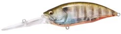 Megabass Big-M 7.5 Magnum Extra Deep Diving Crankbait 37 Megabass Big-M 7.5 Magnum Extra Deep Diving Crankbait -Fishing Promotion Store big m75 biwako clear gill e6066747 49ff 4ac7 bcb0 c24889f42772