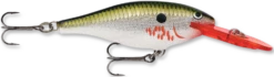 Rapala Shad Rap 2 3/4 Inch Medium Diving Crankbait SR07 29 Rapala Shad Rap 2 3/4 Inch Medium Diving Crankbait SR07 -Fishing Promotion Store bleeding 2Bolive 2Bflash fbfdec03 6a18 4e40 94ed cea596d27917