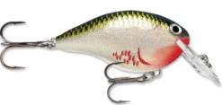 Rapala DT Series Crankbait DT4 24 Rapala DT Series Crankbait DT4 -Fishing Promotion Store bleeding olive shiner b6263b92 6a43 45af 9691 3e5bd20a5503