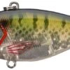 River2Sea Ruckus 3/4 Oz. Lipless Crankbait 2 River2Sea Ruckus 3/4 Oz. Lipless Crankbait -Fishing Promotion Store blue 2Bgill