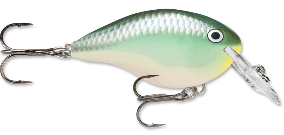 Rapala DT Series Crankbait DT4 6 Rapala DT Series Crankbait DT4 - Image 4