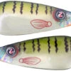 River2Sea Worldwide Spoon 100 2 River2Sea Worldwide Spoon 100 -Fishing Promotion Store blue gill