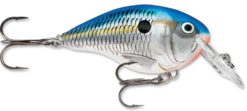 Rapala DT Series Crankbait DT4 26 Rapala DT Series Crankbait DT4 -Fishing Promotion Store blue shad 40866e1f a26a 401e a1b8 471cabff3c02
