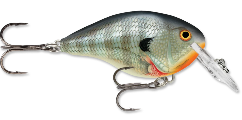 Rapala DT Series Crankbait DT4 3 Rapala DT Series Crankbait DT4