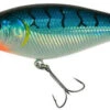 Berkley Flicker Shad Crankbait - 3/16 Oz 2 Berkley Flicker Shad Crankbait - 3/16 Oz -Fishing Promotion Store bluetiger 6ff9d8f2 d8bc 4bde 93a7 a4542827f53b