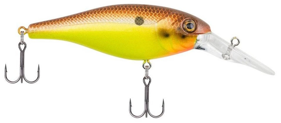 Berkley Bad Shad Medium Diving Crankbait 8 Berkley Bad Shad Medium Diving Crankbait - Image 6
