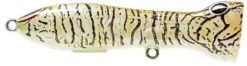 Nomad Design Chug Norris Freshwater/Inshore Popper 23 Nomad Design Chug Norris Freshwater/Inshore Popper -Fishing Promotion Store brown sand shrimp