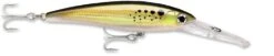 Rapala X-Rap Magnum 30 Big Game Slash Bait -Fishing Promotion Store bunker e98f4d72 699f 4d80 8997 f69d015a741f