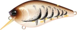 Lucky Craft LC 2.5 Shallow Squarebill Crankbait 36 Lucky Craft LC 2.5 Shallow Squarebill Crankbait -Fishing Promotion Store cameleon brown craw