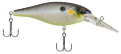 Berkley Bad Shad Medium Diving Crankbait 29 Berkley Bad Shad Medium Diving Crankbait -Fishing Promotion Store chameleon pearl