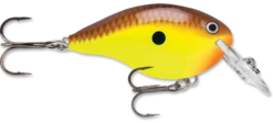 Rapala DT Series Crankbait DT4 29 Rapala DT Series Crankbait DT4 -Fishing Promotion Store chartreuse brown 74f30f15 7fc4 408a a73f 846212ded236