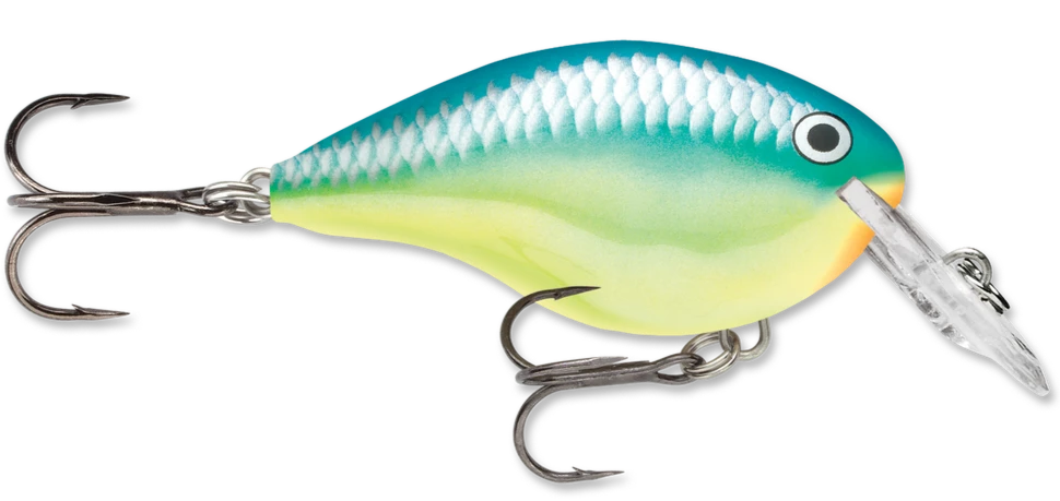 Rapala DT Series Crankbait DT4 9 Rapala DT Series Crankbait DT4 - Image 7