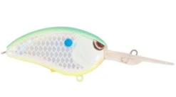 SPRO John Crews Little John DD 60 Deep Diving Crankbait 25 SPRO John Crews Little John DD 60 Deep Diving Crankbait -Fishing Promotion Store citrus shad 7c1f0cee 4556 4d20 9c45 0be5ad28b092