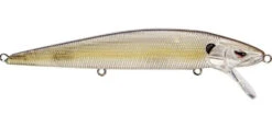 SPRO Mike McClelland McStick 110 Suspending Jerkbait 29 SPRO Mike McClelland McStick 110 Suspending Jerkbait -Fishing Promotion Store clear chartreuse 9b13547d e0ba 449c 8e4b 5fb47ce3ee79