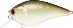 Lucky Craft LC 2.5 Shallow Squarebill Crankbait 26 Lucky Craft LC 2.5 Shallow Squarebill Crankbait -Fishing Promotion Store copper 2Bgreen 2Bshad