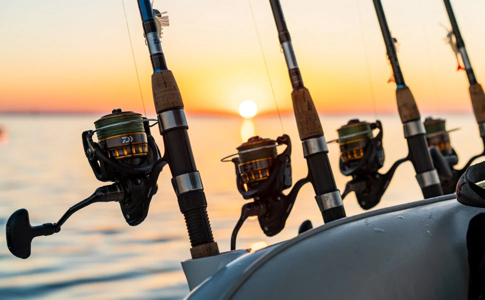 Daiwa BG Spinning Reels 8 Daiwa BG Spinning Reels - Image 6