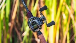 Daiwa Steez CT SV Baitcasting Reel 22 Daiwa Steez CT SV Baitcasting Reel -Fishing Promotion Store daiwa steez ct sv 5