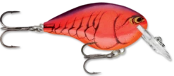 Rapala DT Series Crankbait DT4 31 Rapala DT Series Crankbait DT4 -Fishing Promotion Store demon 5349ba0e 48a0 4d2a ab77 1b7ab9b44d47