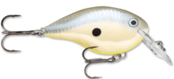 Rapala DT Series Crankbait DT4 32 Rapala DT Series Crankbait DT4 -Fishing Promotion Store disco shad 48ff9892 84e7 4f3b 8c8c 61b5dda2adf1