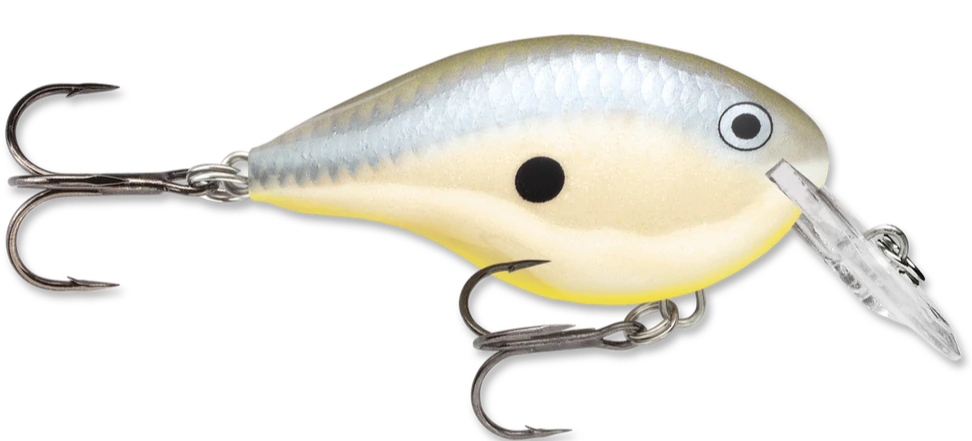 Rapala DT Series Crankbait DT4 13 Rapala DT Series Crankbait DT4 - Image 11