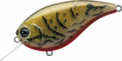 Evergreen International Flat Force 4 Flat-Sided Shallow Diving Crankbait 30 Evergreen International Flat Force 4 Flat-Sided Shallow Diving Crankbait -Fishing Promotion Store ever green ff 216 live crawdad