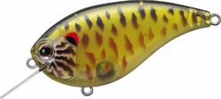 Evergreen International Flat Force 4 Flat-Sided Shallow Diving Crankbait 34 Evergreen International Flat Force 4 Flat-Sided Shallow Diving Crankbait -Fishing Promotion Store ever green ff 286 skeleton pumpkinseed