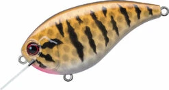 Evergreen International Flat Force 4 Flat-Sided Shallow Diving Crankbait 35 Evergreen International Flat Force 4 Flat-Sided Shallow Diving Crankbait -Fishing Promotion Store ever green ff 392 smallmouth bass