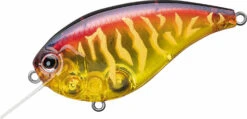 Evergreen International Flat Force 4 Flat-Sided Shallow Diving Crankbait 32 Evergreen International Flat Force 4 Flat-Sided Shallow Diving Crankbait -Fishing Promotion Store ever green ff 393 pre spawn dynamite f