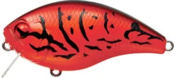 Evergreen International CH-1 Waking Crankbait 19 Evergreen International CH-1 Waking Crankbait -Fishing Promotion Store evergreen CH 1 064 firecraw