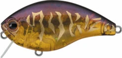 Evergreen International CH-1 Waking Crankbait 22 Evergreen International CH-1 Waking Crankbait -Fishing Promotion Store evergreen CH 1 393 pre spawn dynamite
