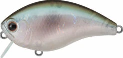Evergreen International CH-1 Waking Crankbait 20 Evergreen International CH-1 Waking Crankbait -Fishing Promotion Store evergreen CH 1 440 ghost wakasagi