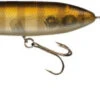 Evergreen International SB-150 "Shower Blows" Topwater Walker 1 Evergreen International SB-150 "Shower Blows" Topwater Walker -Fishing Promotion Store evergreen sb150 262 naturalgill