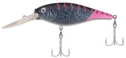 Berkley Flicker Shad Crankbait - 3/16 Oz 33 Berkley Flicker Shad Crankbait - 3/16 Oz -Fishing Promotion Store firetail mf black cougar