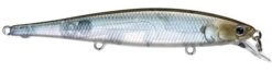 Lucky Craft Flash Pointer 100 Shallow Diving Jerkbait 12 Lucky Craft Flash Pointer 100 Shallow Diving Jerkbait -Fishing Promotion Store ghost 2Bminnow 732515af adcb 43f3 82a2 1d3dd2cedf67