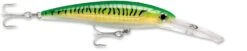 Rapala X-Rap Magnum 30 Big Game Slash Bait -Fishing Promotion Store gold green mackerel 9283f310 85a5 4cbc 8322 c3424b6a65de