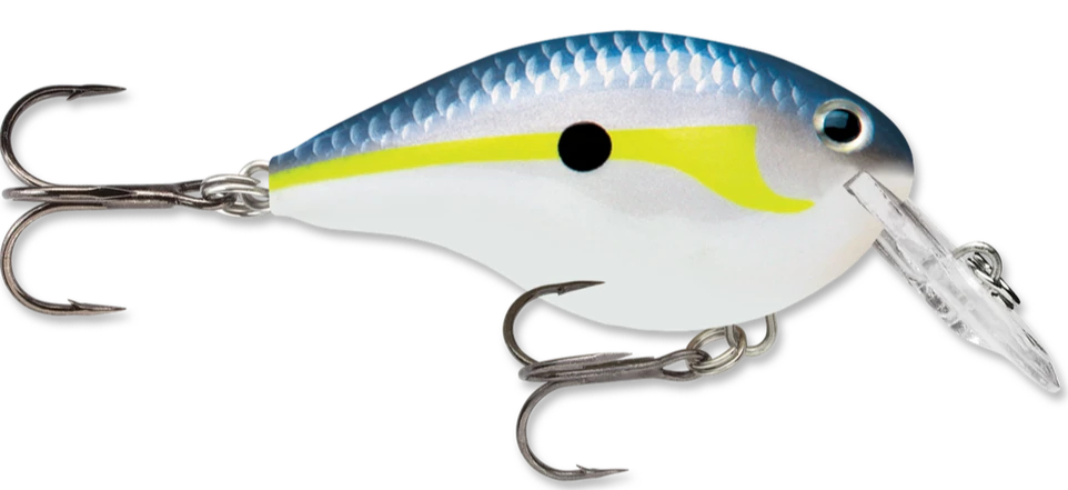 Rapala DT Series Crankbait DT4 16 Rapala DT Series Crankbait DT4 - Image 14