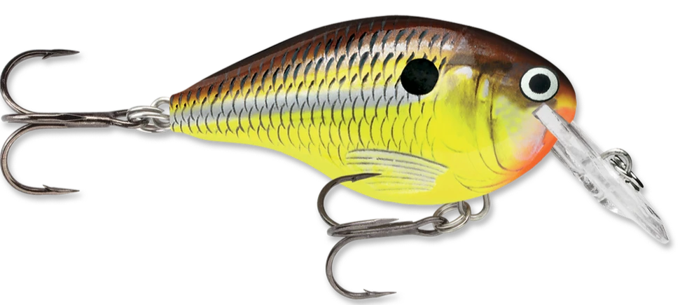 Rapala DT Series Crankbait DT4 17 Rapala DT Series Crankbait DT4 - Image 15