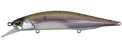 Duo Realis Jerkbait 110SP Suspending 29 Duo Realis Jerkbait 110SP Suspending -Fishing Promotion Store komochi wakasagi cddcb7cd 3c6b 40a5 93b9 fa78256d7c92