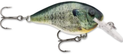 Rapala DT Series Crankbait DT4 37 Rapala DT Series Crankbait DT4 -Fishing Promotion Store live bluegill 081b953a 2495 4e91 8399 d3acc222bfc4