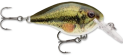 Rapala DT Series Crankbait DT4 38 Rapala DT Series Crankbait DT4 -Fishing Promotion Store live largemouth bass 2f259570 db69 465c b5d8 9a0aa813ca36