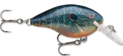 Rapala DT Series Crankbait DT4 39 Rapala DT Series Crankbait DT4 -Fishing Promotion Store live pumpkinseed 329bf6f4 4258 4a12 9973 80c87ede8f9b