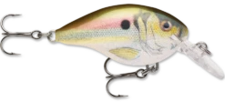 Rapala DT Series Crankbait DT4 40 Rapala DT Series Crankbait DT4 -Fishing Promotion Store live river shad 99811d93 def6 46c2 847f 2cc70509e248