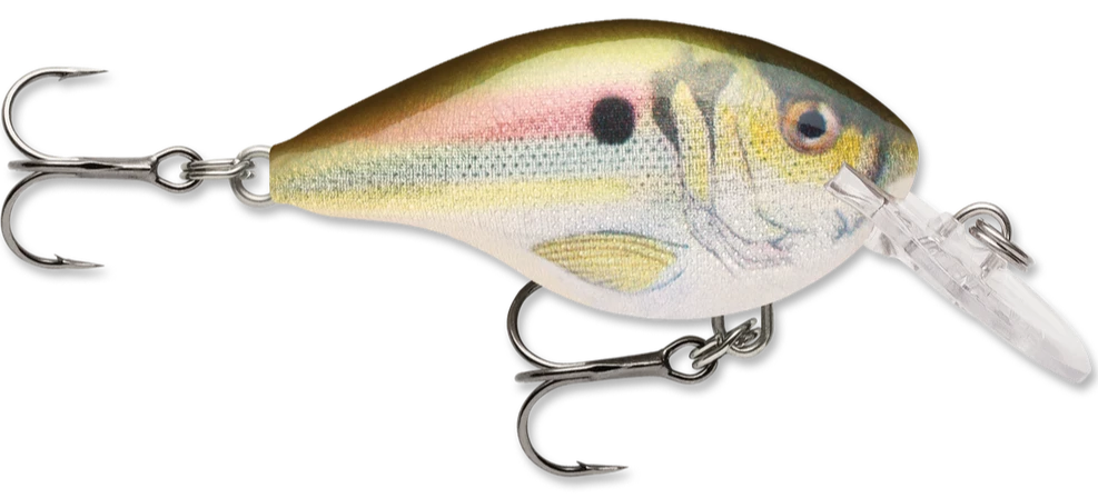 Rapala DT Series Crankbait DT4 21 Rapala DT Series Crankbait DT4 - Image 19