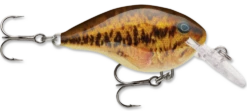 Rapala DT Series Crankbait DT4 41 Rapala DT Series Crankbait DT4 -Fishing Promotion Store live smallmouth bass e408e51d bf23 4c82 83cd 7f8d7407e433