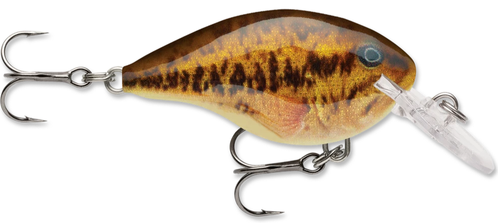 Rapala DT Series Crankbait DT4 22 Rapala DT Series Crankbait DT4 - Image 20